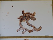 Tvoříme z čokolády